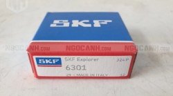 Tìm hiểu về vòng bi SKF 6301 và các thiết kế 6301-2Z, 6301-2RSH